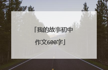 我的故事初中作文600字