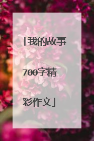 我的故事700字精彩作文