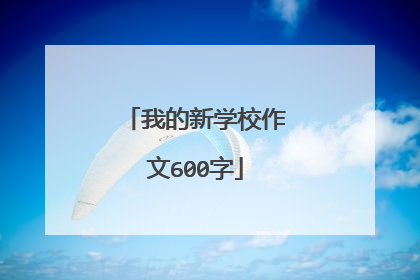 我的新学校作文600字
