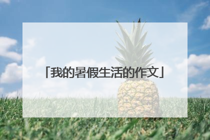 我的暑假生活的作文