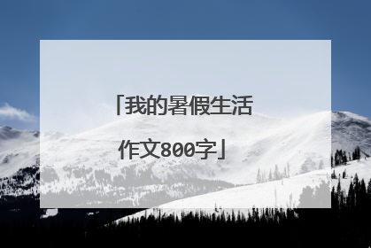 我的暑假生活作文800字