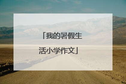 我的暑假生活小学作文