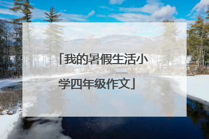 我的暑假生活小学四年级作文