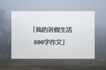 我的暑假生活800字作文