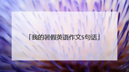 我的暑假英语作文5句话