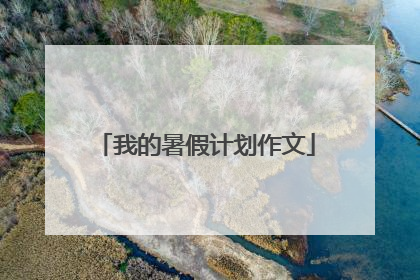 我的暑假计划作文