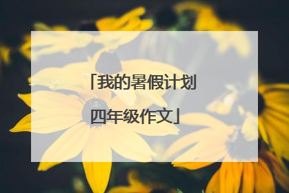 我的暑假计划四年级作文