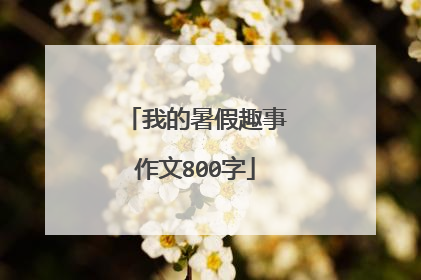 我的暑假趣事作文800字