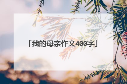 我的母亲作文400字
