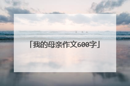 我的母亲作文600字