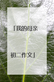 我的母亲初二作文
