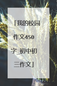 我的校园作文450字_初中初三作文