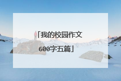 我的校园作文600字五篇