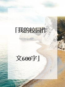 我的校园作文600字