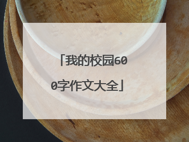 我的校园600字作文大全