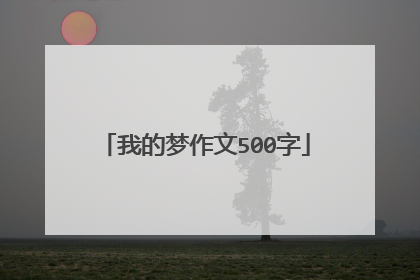 我的梦作文500字