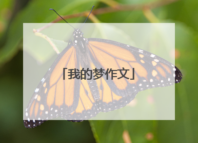 我的梦作文