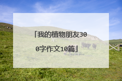 我的植物朋友300字作文10篇