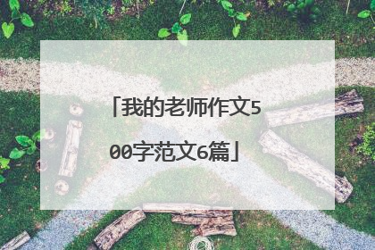 我的老师作文500字范文6篇