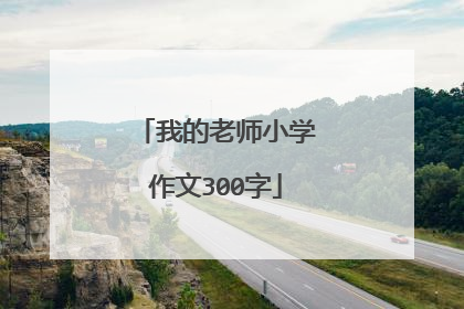 我的老师小学作文300字