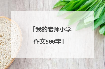 我的老师小学作文500字