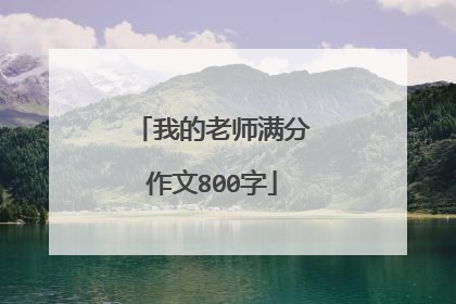 我的老师满分作文800字