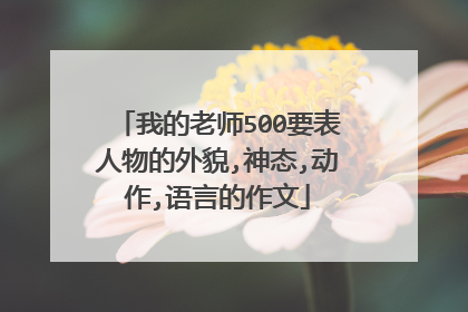 我的老师500要表人物的外貌,神态,动作,语言的作文