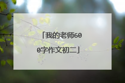 我的老师600字作文初二