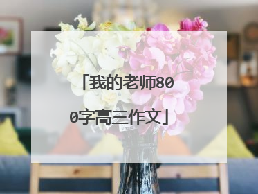 我的老师800字高三作文