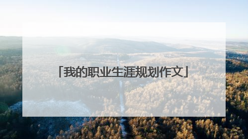 我的职业生涯规划作文