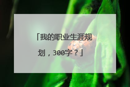 我的职业生涯规划，300字？