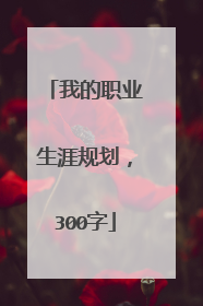 我的职业生涯规划，300字