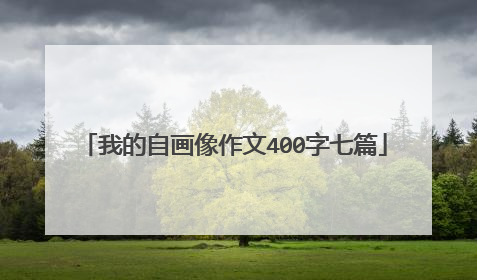 我的自画像作文400字七篇