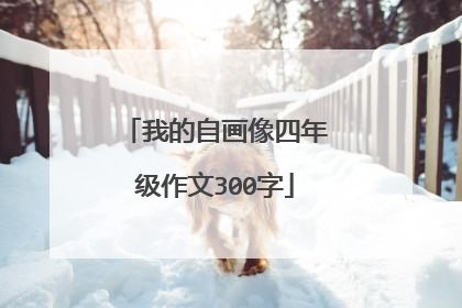 我的自画像四年级作文300字