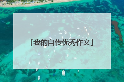 我的自传优秀作文