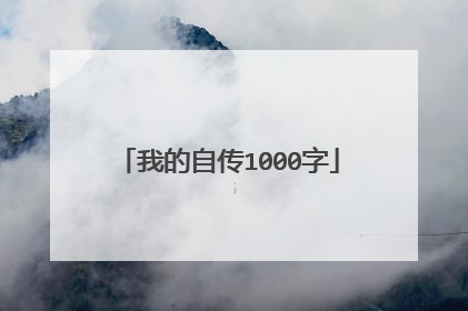 我的自传1000字