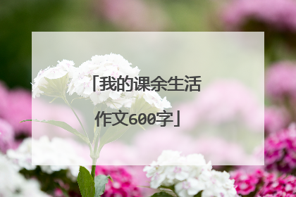 我的课余生活作文600字