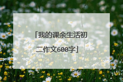 我的课余生活初二作文600字