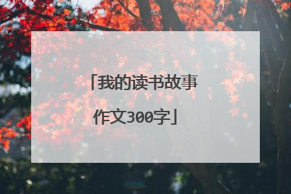 我的读书故事作文300字