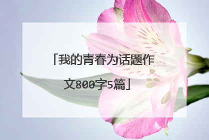 我的青春为话题作文800字5篇