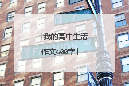 我的高中生活作文600字