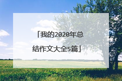 我的2020年总结作文大全5篇