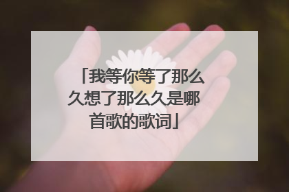 我等你等了那么久想了那么久是哪首歌的歌词