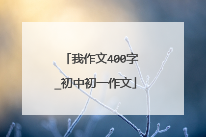 我作文400字_初中初一作文