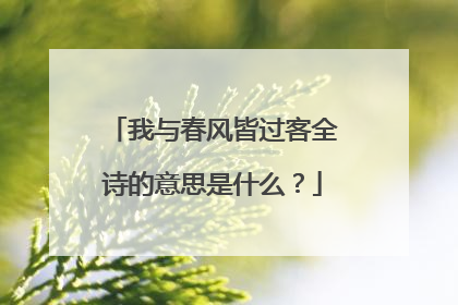 我与春风皆过客全诗的意思是什么？