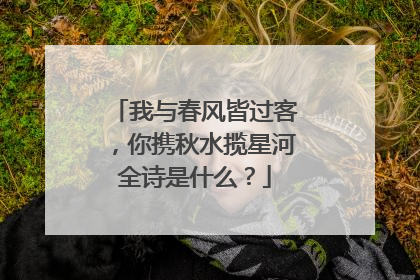 我与春风皆过客，你携秋水揽星河全诗是什么？