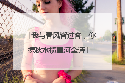 我与春风皆过客，你携秋水揽星河全诗