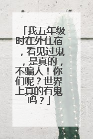 我五年级时在外住宿，看见过鬼，是真的，不骗人！你们呢？世界上真的有鬼吗？