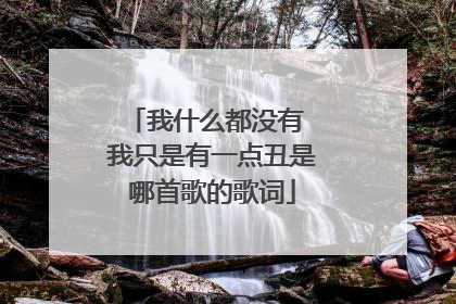 我什么都没有 我只是有一点丑是哪首歌的歌词