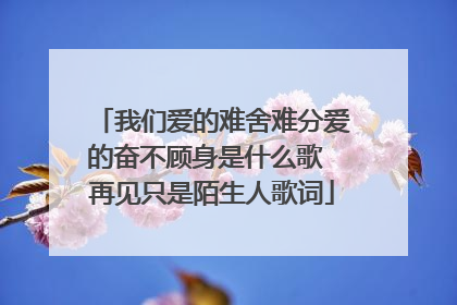 我们爱的难舍难分爱的奋不顾身是什么歌 再见只是陌生人歌词